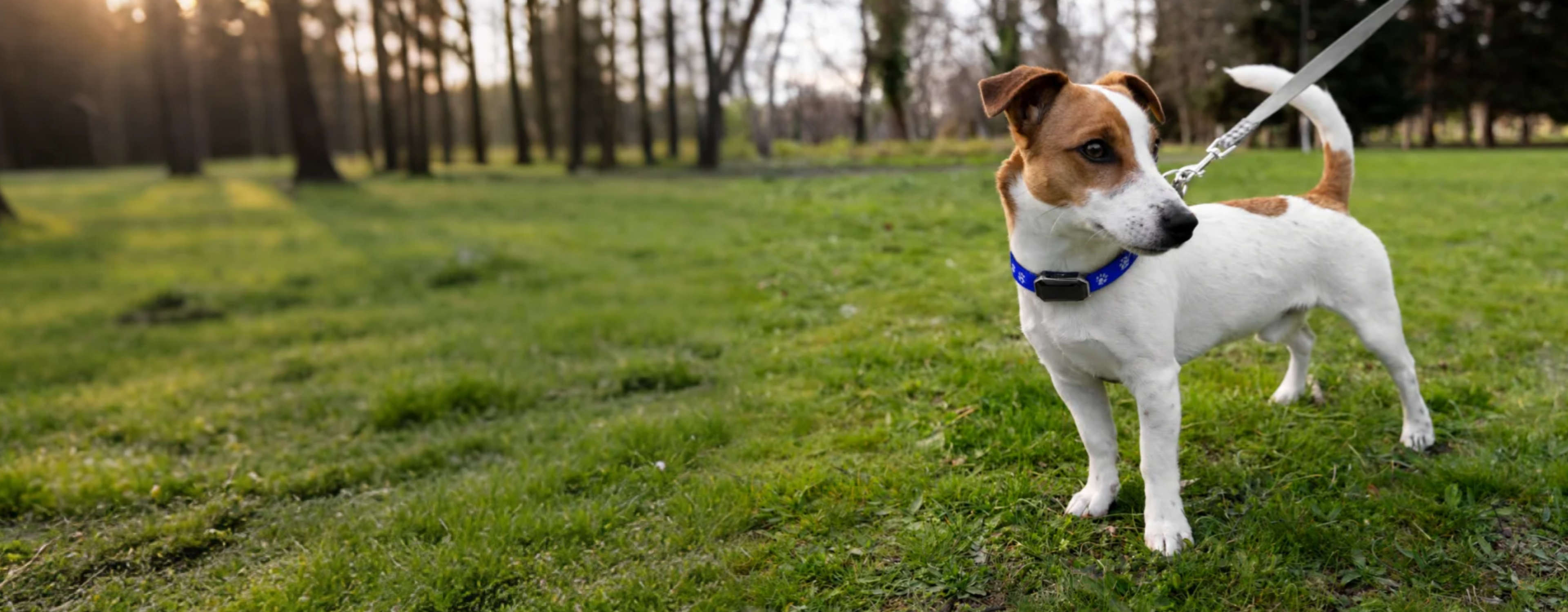 slider image 1621243260e1af0c20-0